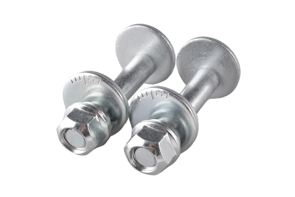 Camber Correction Screw