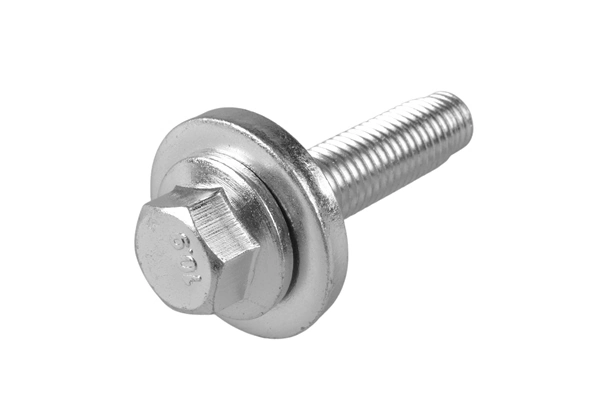 Screw