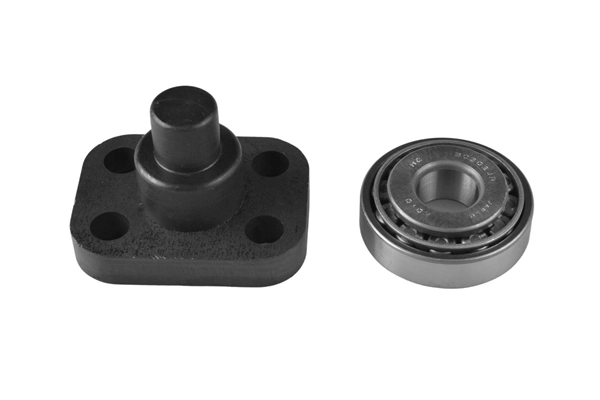 Repair Kit, steering knuckle