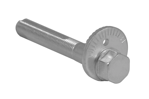 Screw
