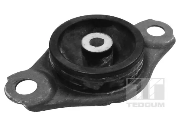 Mounting, engine
