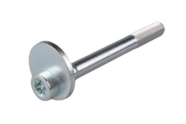 Camber Correction Screw