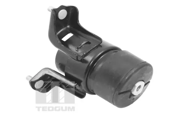 Mounting, engine