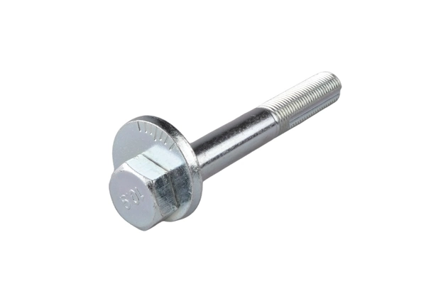 Camber Correction Screw