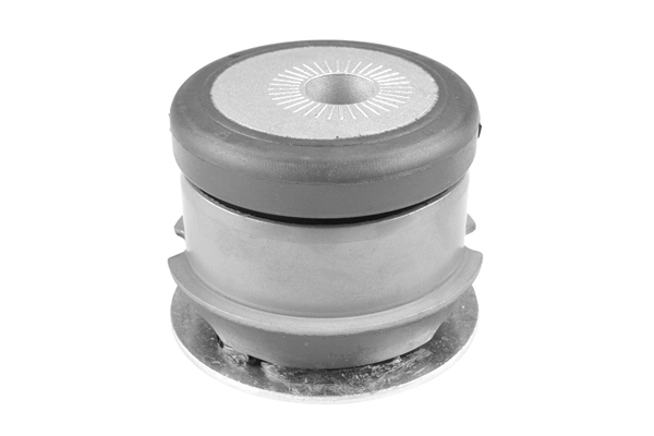 Bushing, axle beam