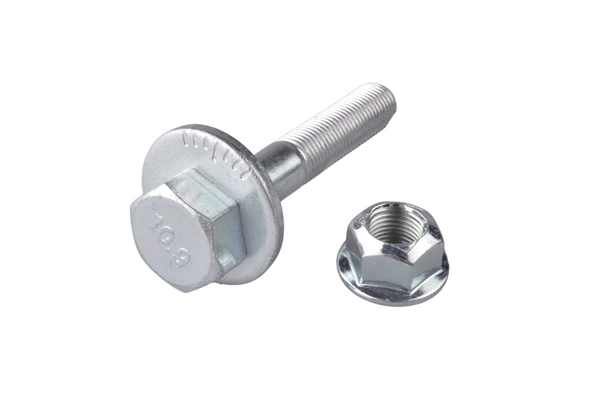 Camber Correction Screw