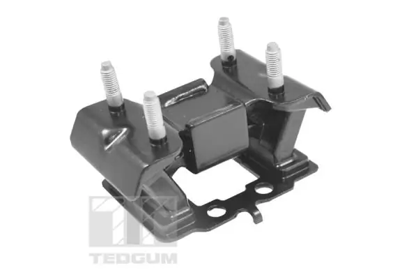 Mounting, engine