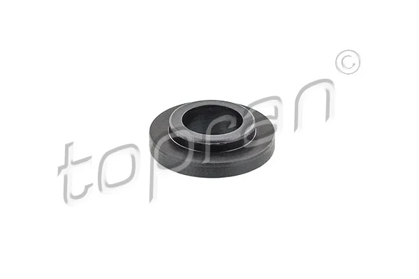 Gasket, oil cooler