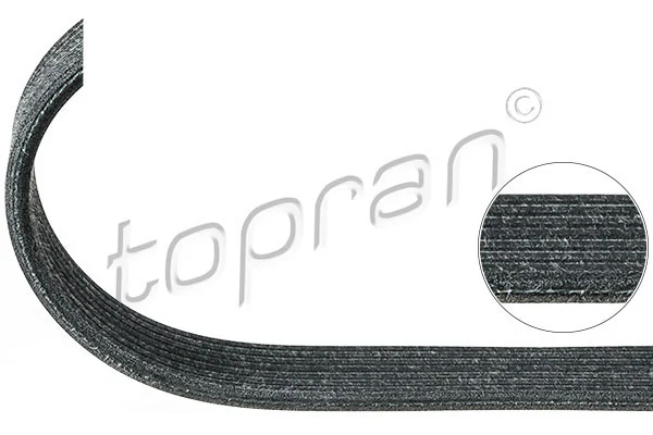 V-ribbed Belt