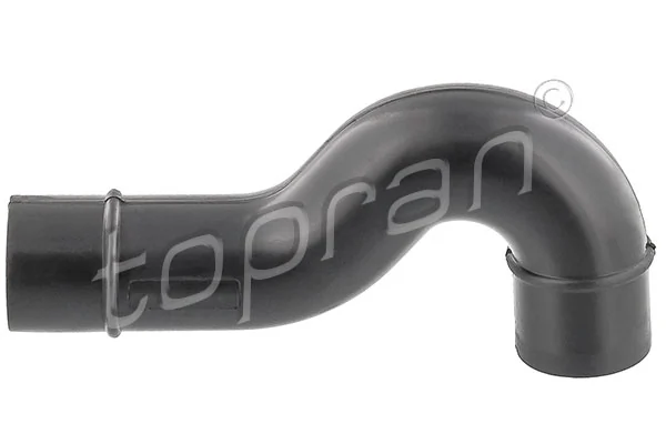 Hose, cylinder head cover ventilation