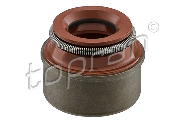 Seal Ring, valve stem