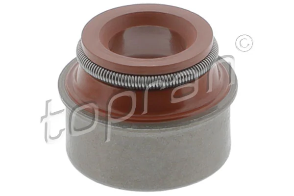 Seal Ring, valve stem