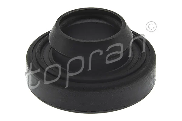 Seal Ring, cylinder head cover bolt