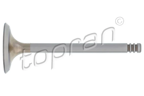 Intake Valve