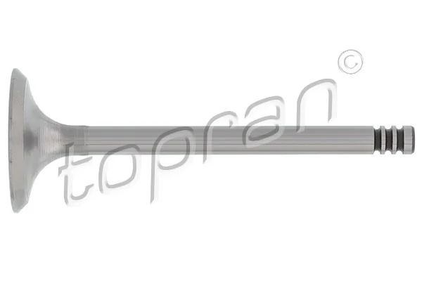 Intake Valve