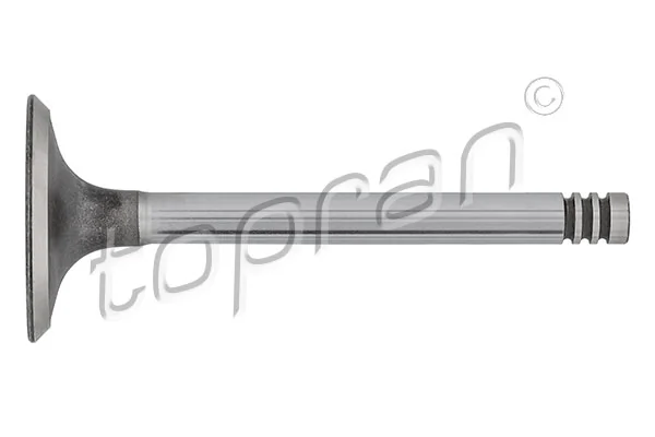 Intake Valve