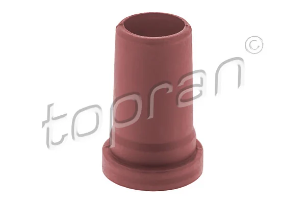 Holder, injector