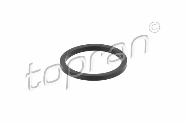 Seal Ring, injector