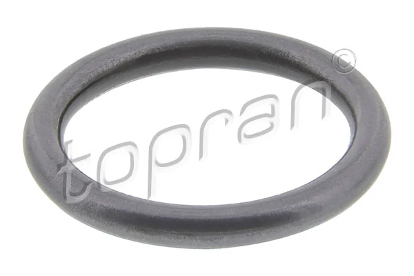 Seal Ring, injector