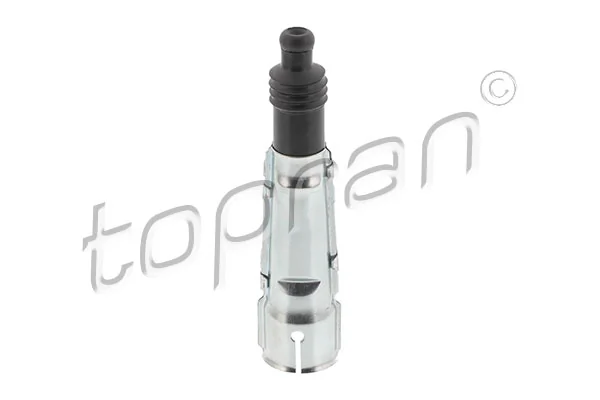 Plug, spark plug