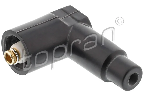 Plug, spark plug