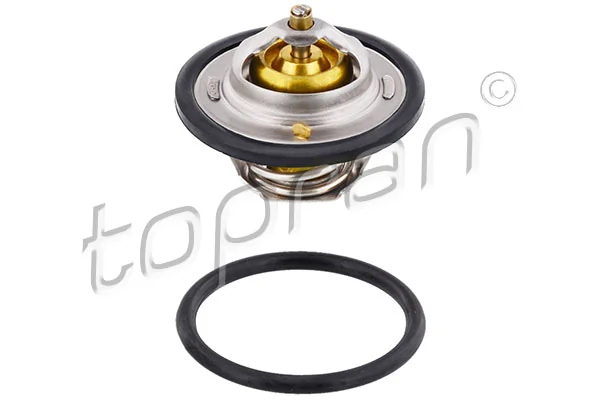 Thermostat, coolant