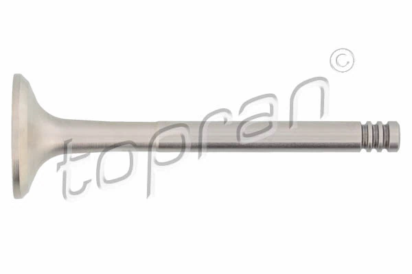Exhaust Valve