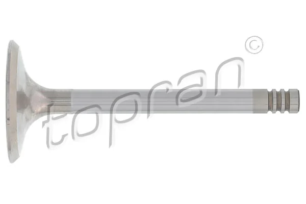 Intake Valve