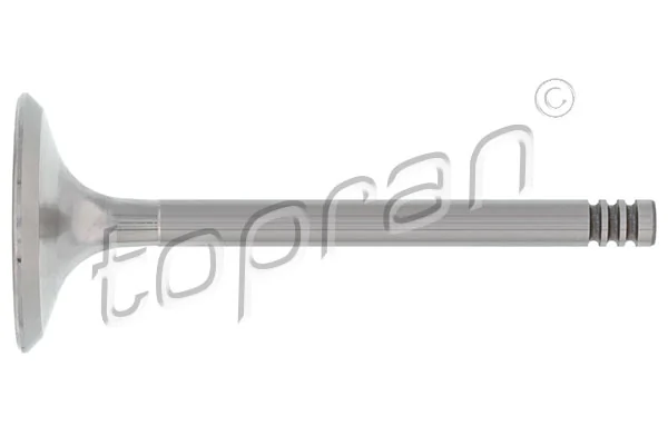 Intake Valve