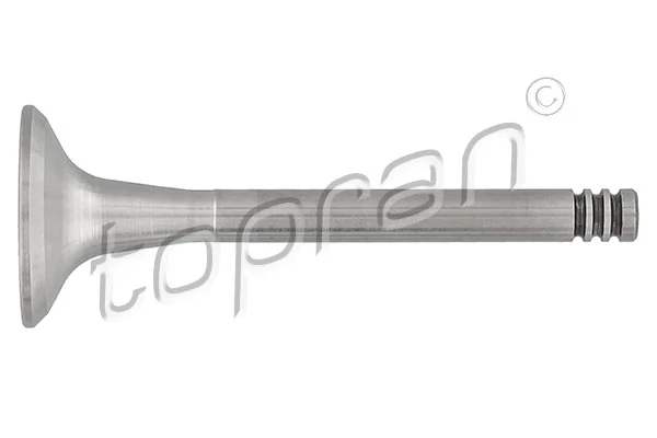 Exhaust Valve