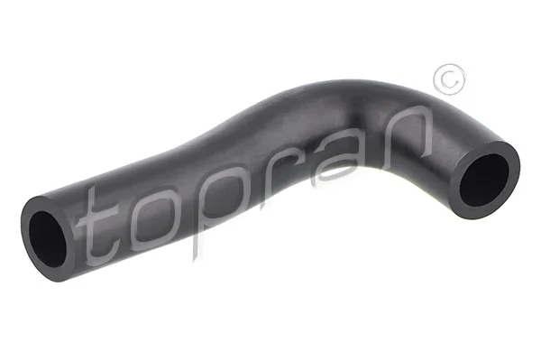Hose, cylinder head cover ventilation