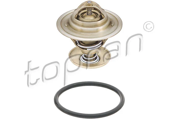 Thermostat, coolant