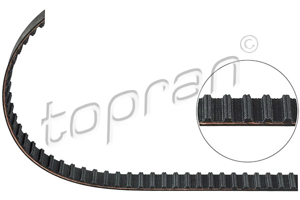 Timing Belt