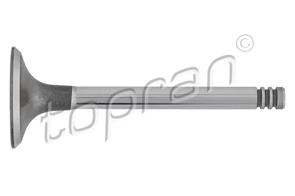Intake Valve