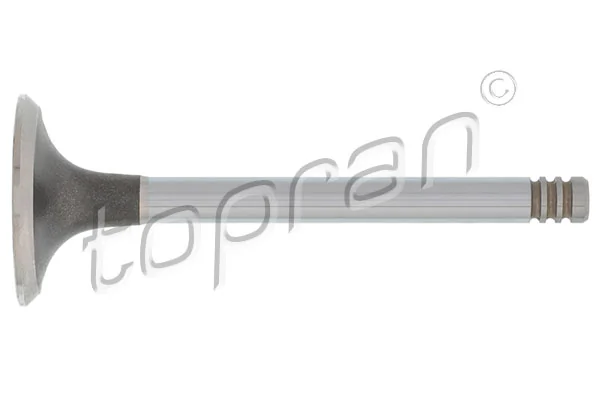 Intake Valve