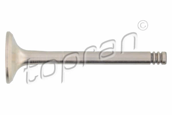 Exhaust Valve