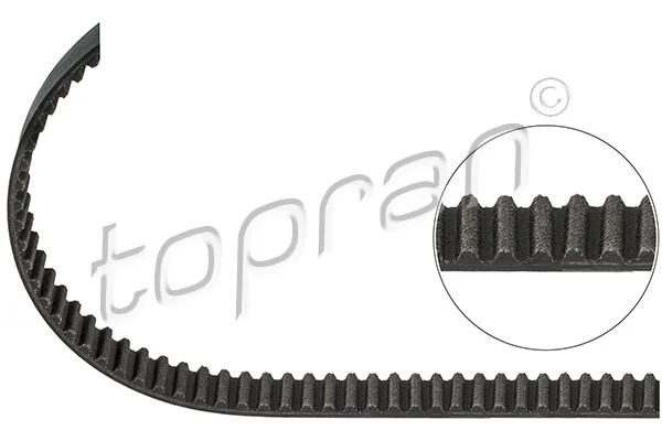 Timing Belt