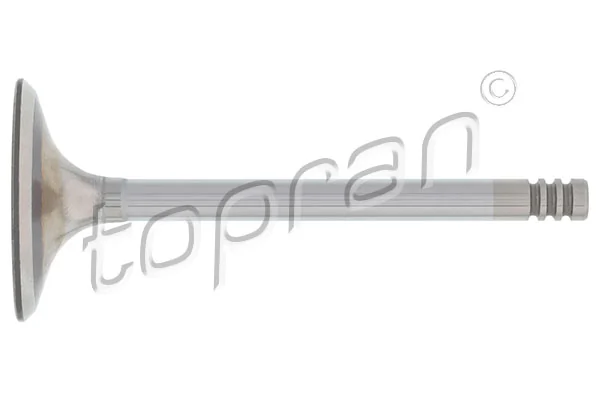 Intake Valve