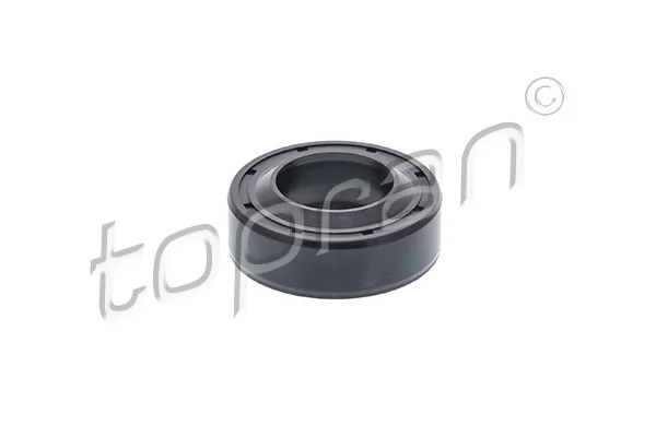 Shaft Seal, drive shaft