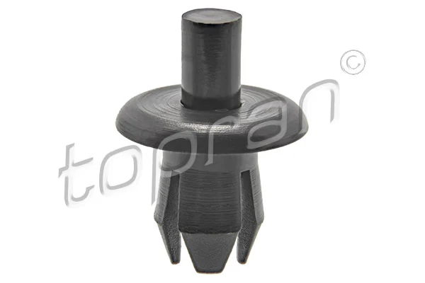 Expanding Rivet