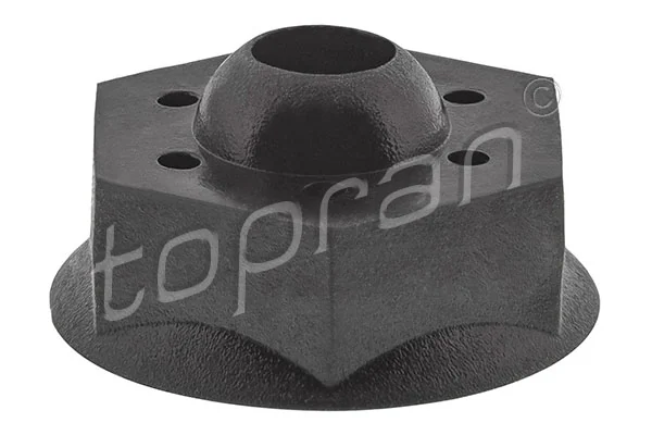 Clip, trim/protection strip