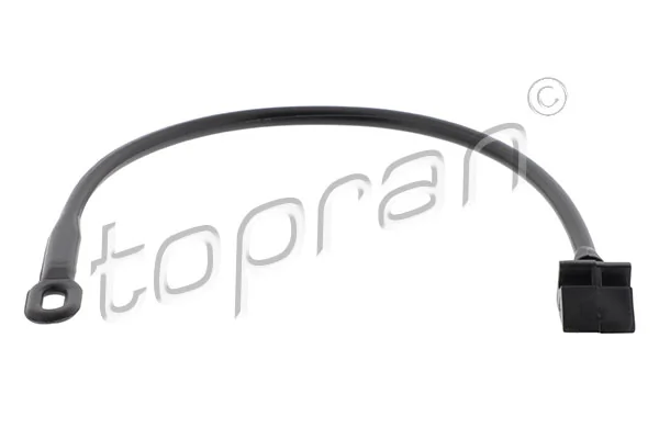 Strap, cargo space cover