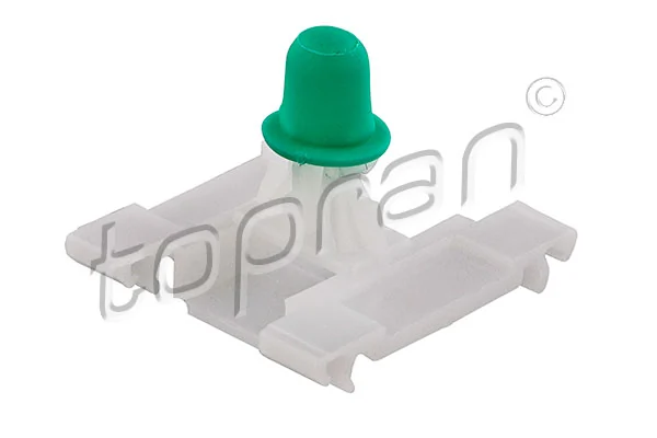 Clip, trim/protection strip