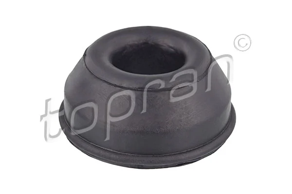 Mounting, control/trailing arm