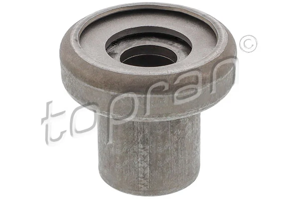 Mounting, control/trailing arm