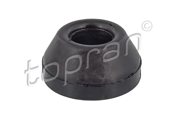 Mounting, control/trailing arm