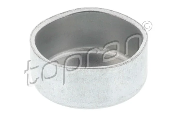 Frost Plug