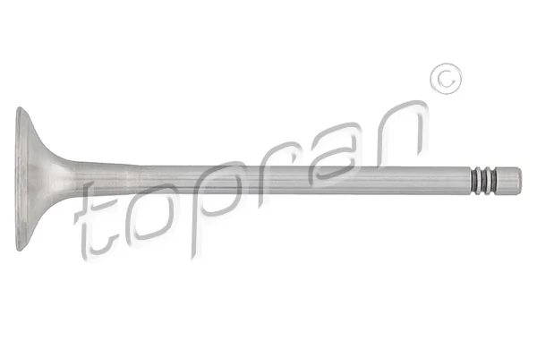 Exhaust Valve