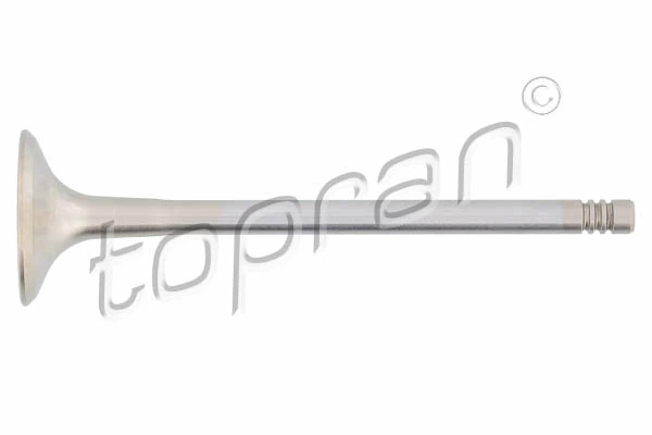 Exhaust Valve