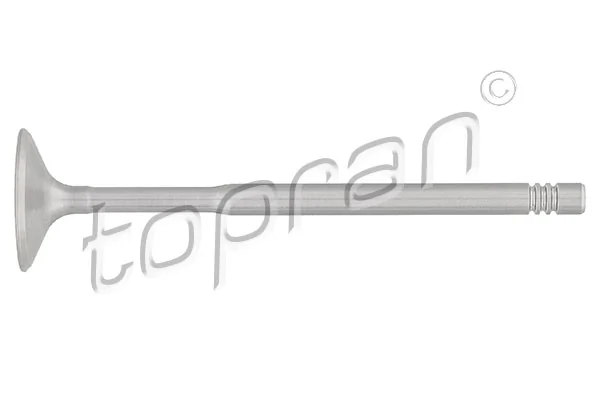 Intake Valve